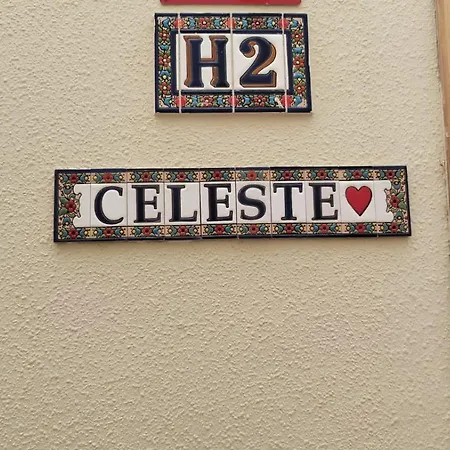 Daire Celeste San José